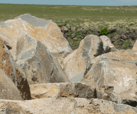 Multipurpose template